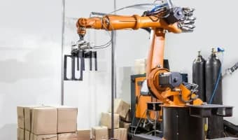 Robot arm, automated manipulator